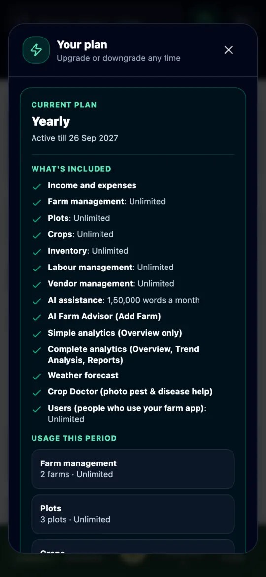 My plan screen showing what the plan includes and usage this period