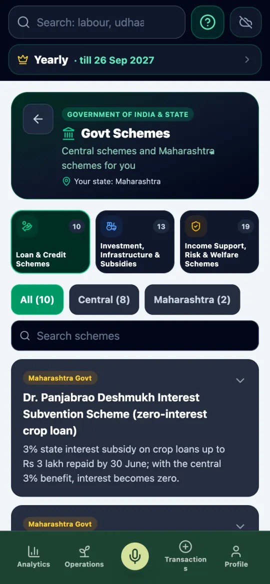 Government schemes screen with Loan & Credit, Investment & Subsidies and Income Support tabs